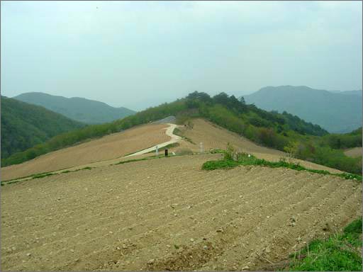 산등성이가 다 벗겨졌다. 